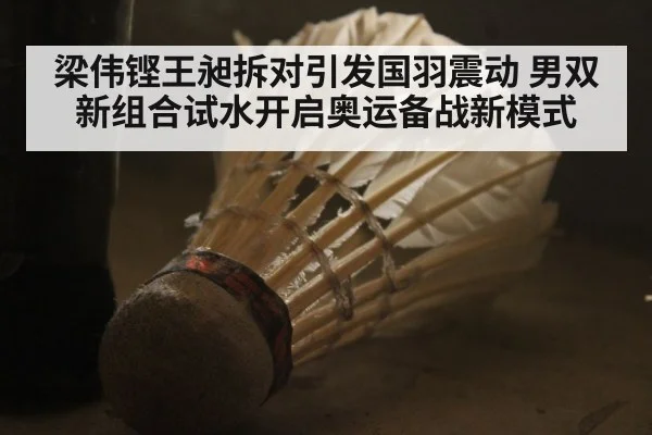 梁伟铿王昶拆对引发国羽震动 男双新组合试水开启奥运备战新模式
